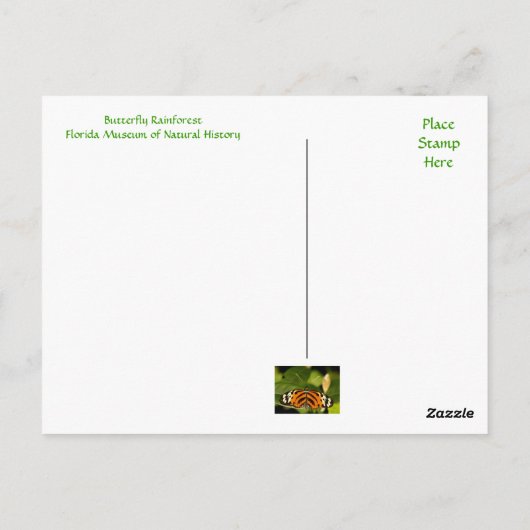 フロリダ博物館の蝶の雨林のポストカード ポストカード (裏面)
