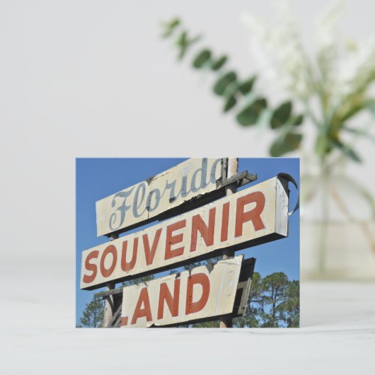 フロリダ土産地ヴィンテージ標識 ポストカード (スタンド正面)