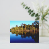 フロリダ川 ポストカード (スタンド正面)