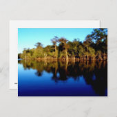 フロリダ川 ポストカード (正面/裏面)