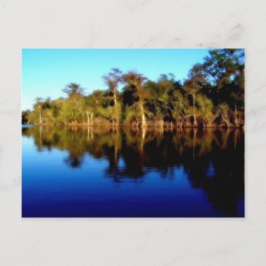 フロリダ川 ポストカード (正面)