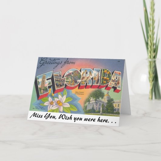 フロリダ州からの挨拶 カード (正面)