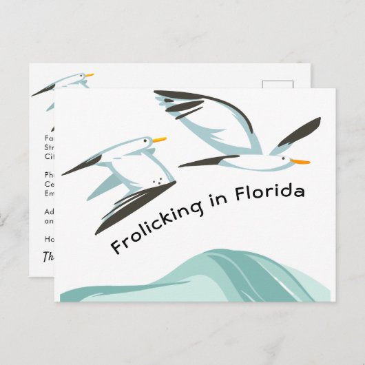 フロリダ州で2つのカモメが凍る新しい住所 案内ポストカード (正面/裏面)