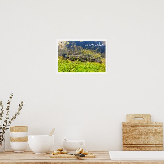 フロリダ州のエバグレイズ国立公園にいるアリゲーター ポスター (キッチン)