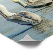 フロリダ州のペリカンビーチポスタープリント ポスター (角)