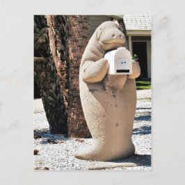 フロリダ州のメールボックスの管理の写真 ポストカード