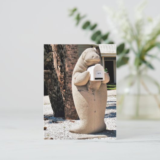 フロリダ州のメールボックスの管理の写真 ポストカード (スタンド正面)