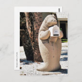 フロリダ州のメールボックスの管理の写真 ポストカード (正面/裏面)