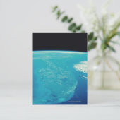 フロリダ州の宇宙 ポストカード (スタンド正面)