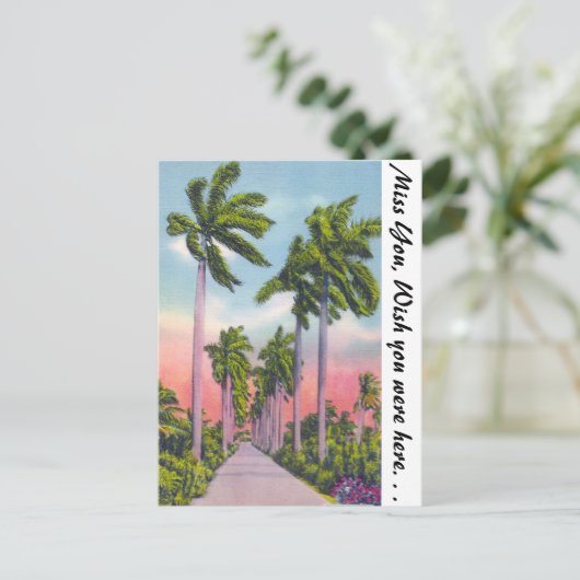 フロリダ州の王室の堂々としたヤシ並木 ポストカード (スタンド正面)