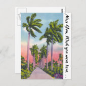 フロリダ州の王室の堂々としたヤシ並木 ポストカード (正面/裏面)