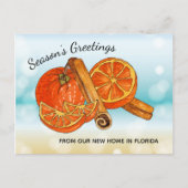 フロリダ州の祝日の新しい住所 案内ポストカード (正面)