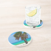 フロリダ州アメリカエメラルド海岸のヤシの木 コースター (側面)