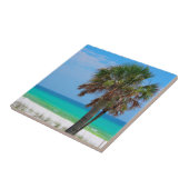 フロリダ州アメリカエメラルド海岸のヤシの木 タイル (側面)