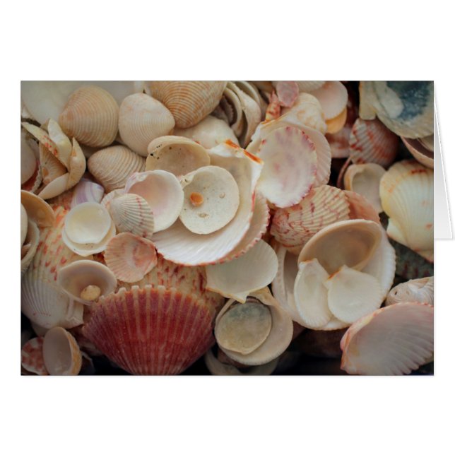 フロリダ州アメリカサンタローザの砲弾を閉鎖する (正面横)