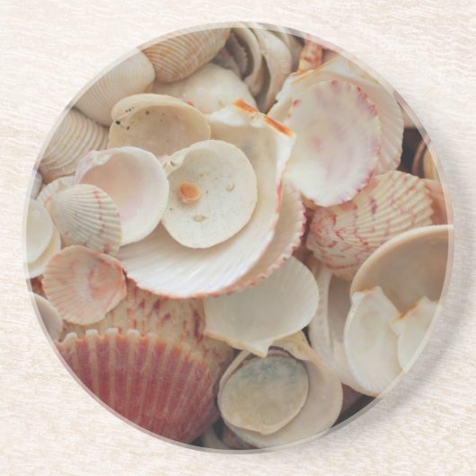 フロリダ州アメリカサンタローザの砲弾を閉鎖する コースター (正面)