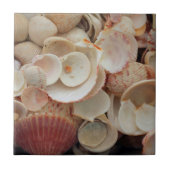 フロリダ州アメリカサンタローザの砲弾を閉鎖する タイル