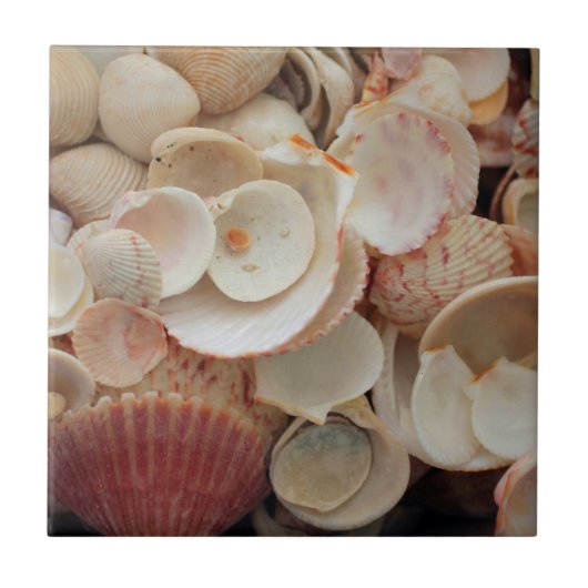 フロリダ州アメリカサンタローザの砲弾を閉鎖する タイル (正面)