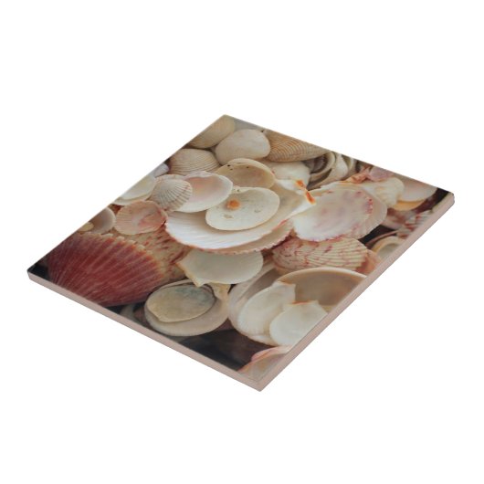 フロリダ州アメリカサンタローザの砲弾を閉鎖する タイル