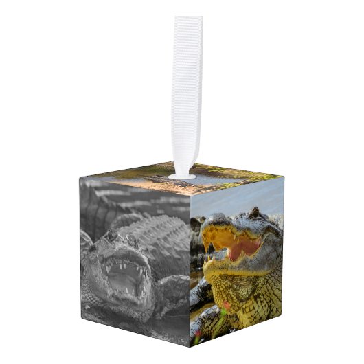 フロリダ州アリゲーターの写真を閉じる キューブオーナメント (正面アングル)