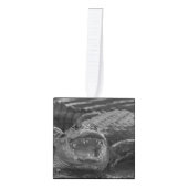 フロリダ州アリゲーターの写真を閉じる キューブオーナメント (正面)