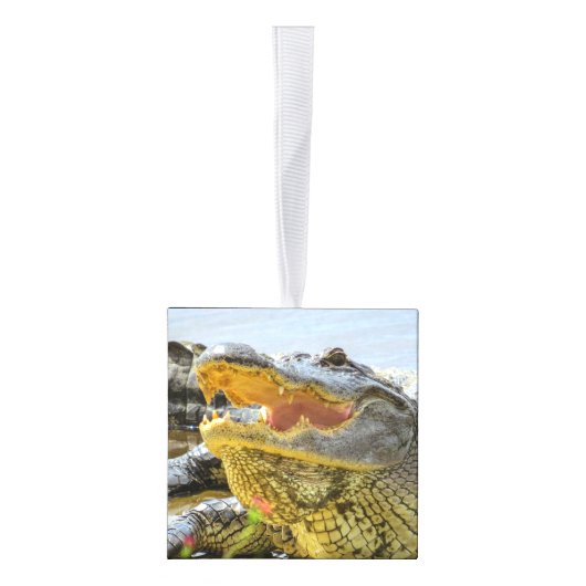 フロリダ州アリゲーターの写真を閉じる キューブオーナメント (右)