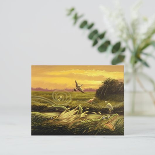 フロリダ州アリゲーターポストカード ポストカード (スタンド正面)