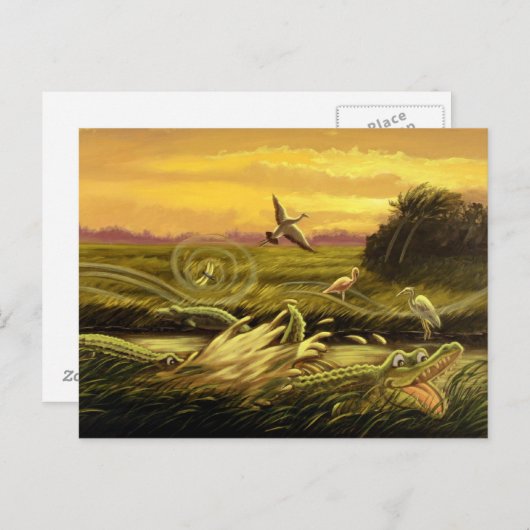 フロリダ州アリゲーターポストカード ポストカード (正面/裏面)