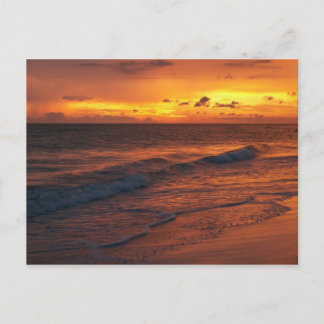 フロリダ州アンナ・マリア島 ポストカード