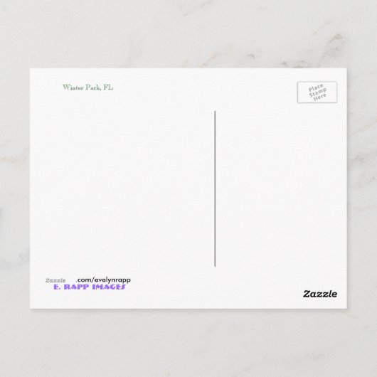 フロリダ州ウィンターパーク ポストカード (裏面)