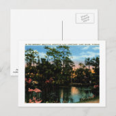 フロリダ州ウェールズ湖サンクチュアリヴィンテージ ポストカード (正面/裏面)