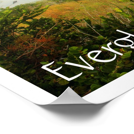 フロリダ州エバーグレーズ国立公園の湿原 ポスター (角)