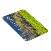 フロリダ州エバーグレーズ国立公園アリゲーター マグネット (右側)