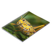 フロリダ州エバーグレーズ国立公園グラスショッパー ノートブック (左側)