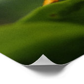 フロリダ州エバーグレーズ国立公園グラスショッパー ポスター (角)