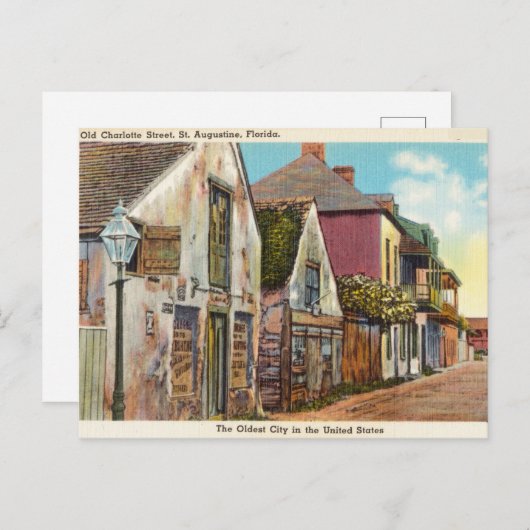 フロリダ州オーガスティンのオールドシャーロット通り ポストカード (正面/裏面)