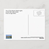 フロリダ州オーランド州ルセルニー湖から眺めた ポストカード (裏面)