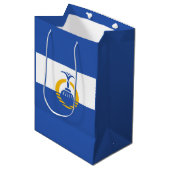フロリダ州オーランド州旗 ミディアムペーパーバッグ (正面アングル)