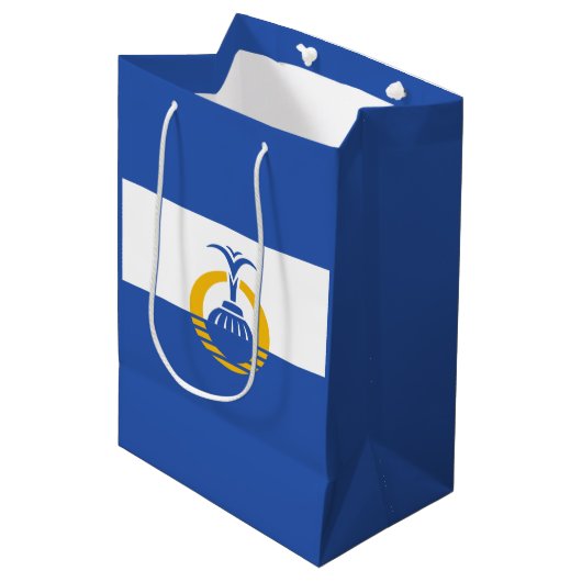 フロリダ州オーランド州旗 ミディアムペーパーバッグ (正面アングル)