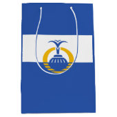 フロリダ州オーランド州旗 ミディアムペーパーバッグ (正面)