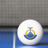 フロリダ州オーランド州旗。 卓球ボール (ネット)