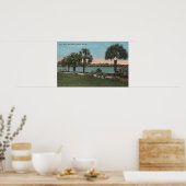 フロリダ州オーランド – イーオーラ湖とイーオーラ湖の眺め ポスター (キッチン)