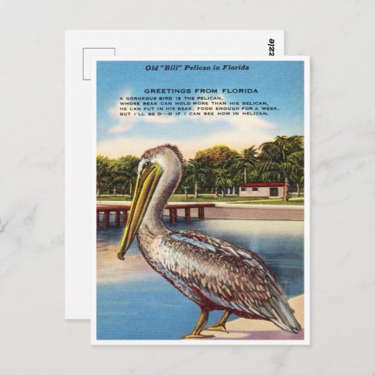 フロリダ州オールド・ビル・ペリカン・フロリダからの挨拶 ポストカード (正面/裏面)