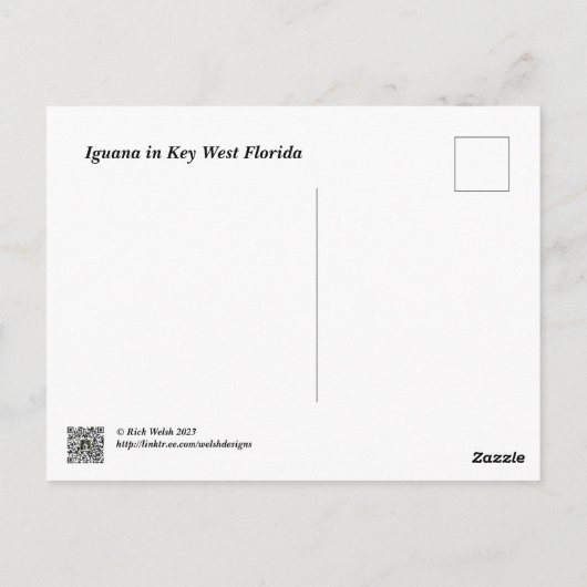 フロリダ州キーウェストのグリーンイグアナ ポストカード (裏面)