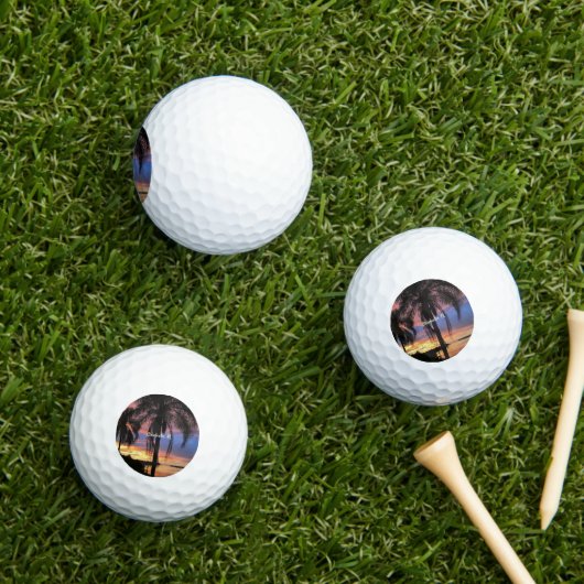 フロリダ州クリアウォーターの風景の写真、 ゴルフボール (インサイチュ 芝生)