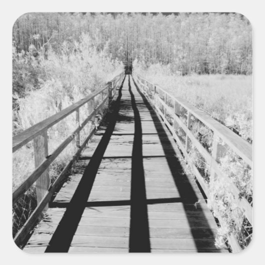 フロリダ州コルク抜き湿地サンクチュアリ下車徒歩 スクエアシール (正面)