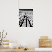 フロリダ州コルク抜き湿地サンクチュアリ下車徒歩 ポスター (キッチン)