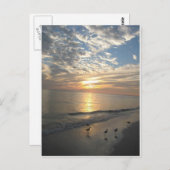 フロリダ州サニベル島 ポストカード (正面/裏面)