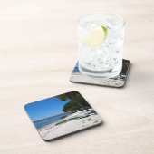 フロリダ州サラソタのボート コースター (右側)