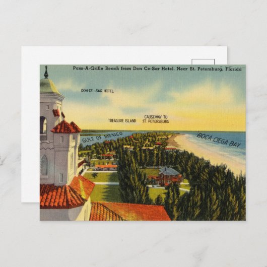 フロリダ州サンクトペテルブルクのホテルと旅行ガイド ポストカード (正面/裏面)